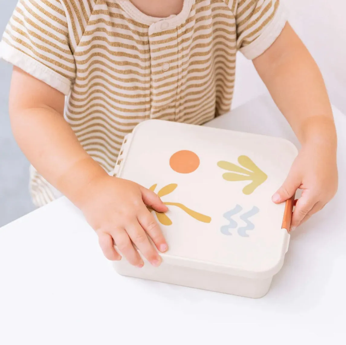 Bento Five | Endless Summer