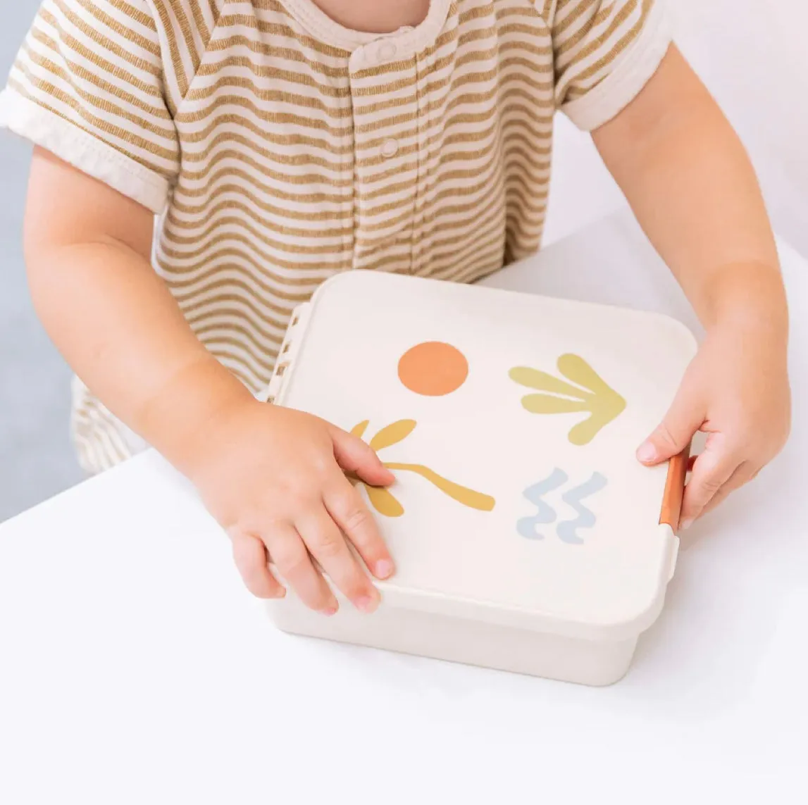Bento Three | Endless Summer